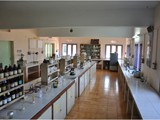 22.BOTANY LAB